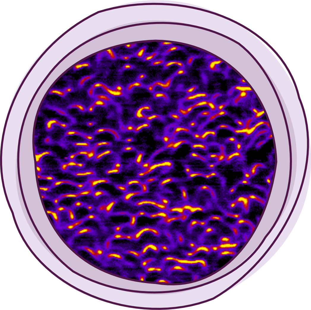 False-colour spatial measurement of collective magnetic structure